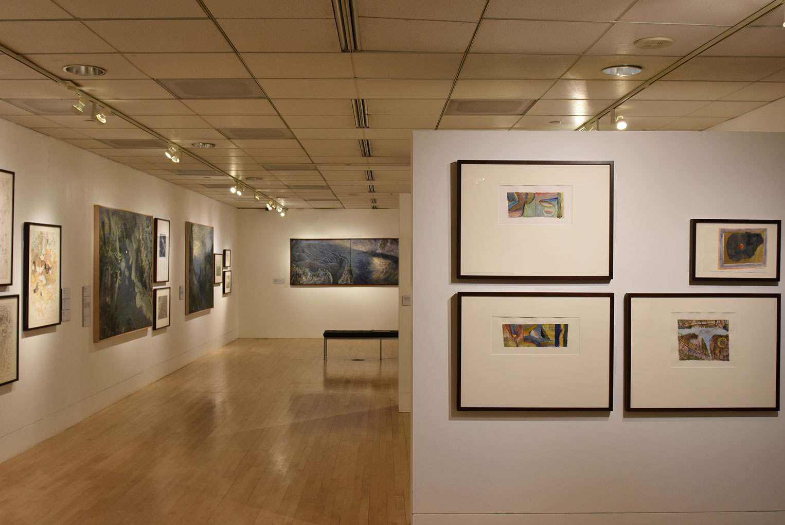 Installation view of 'William Robinson: Genesis' 2017, Embassy of Australia, Washington D.C.