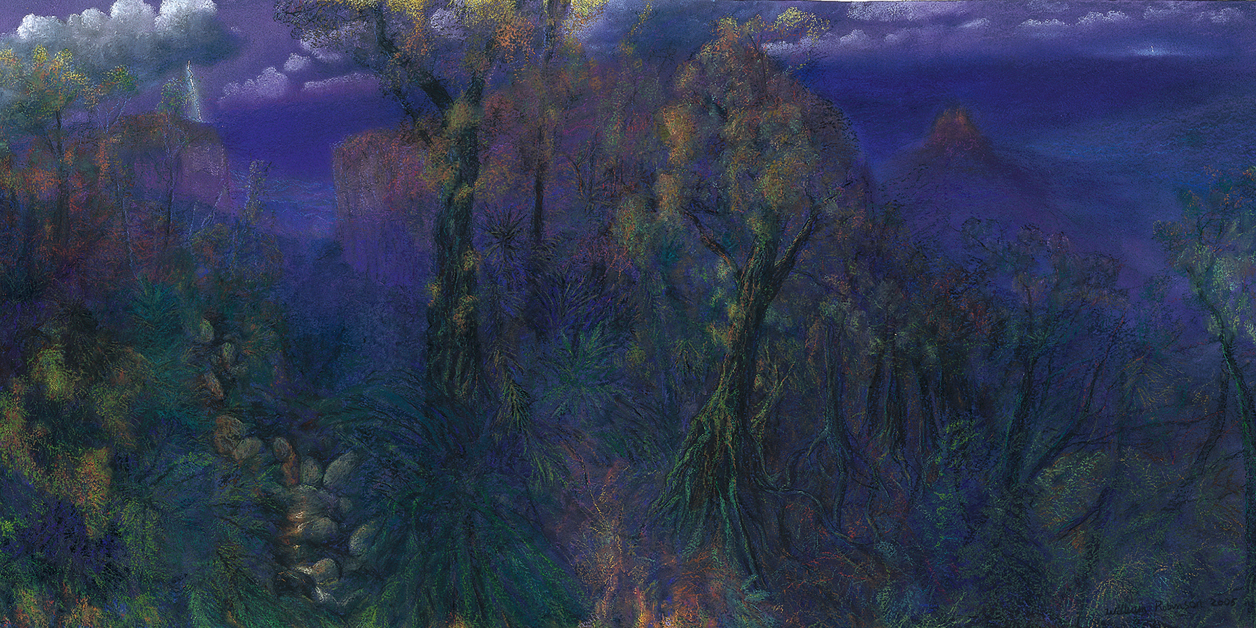Evening light, Springbrook