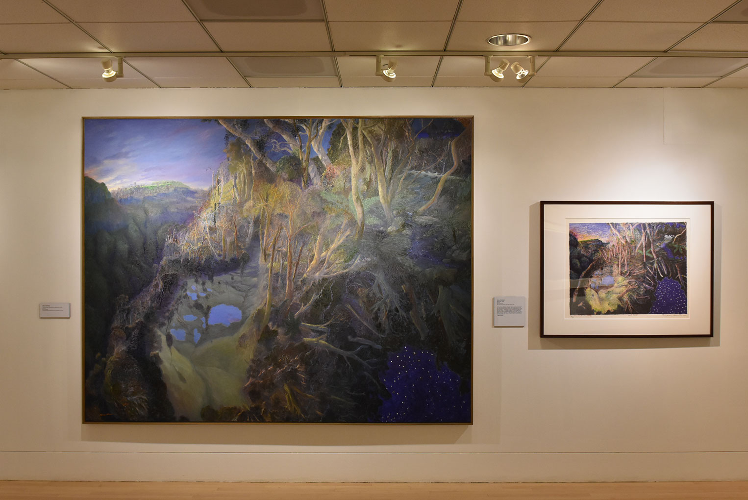 Installation view of 'William Robinson: Genesis' 2017, Embassy of Australia, Washington D.C.