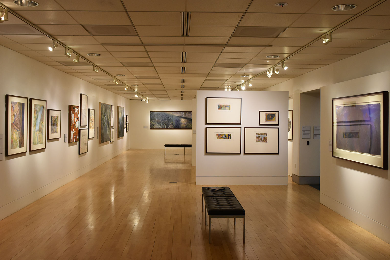 Installation view of 'William Robinson: Genesis' 2017, Embassy of Australia, Washington D.C.