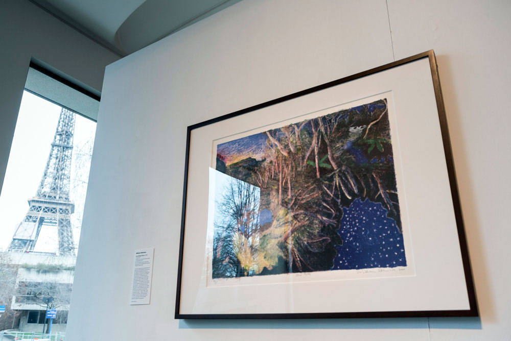 Installation view of 'William Robinson: Genesis' 2018, Australian Embassy Paris.